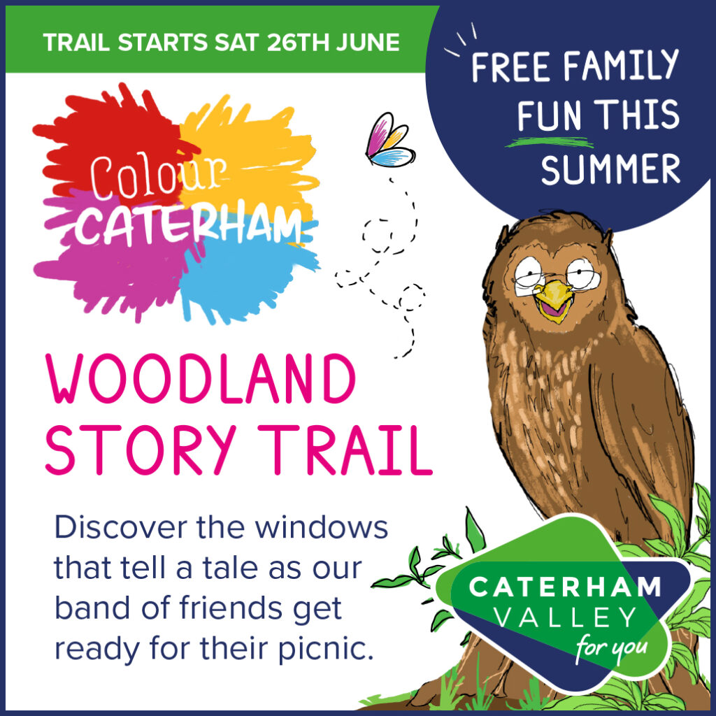 Woodland Story Trail in Caterham Valley in July 2021
