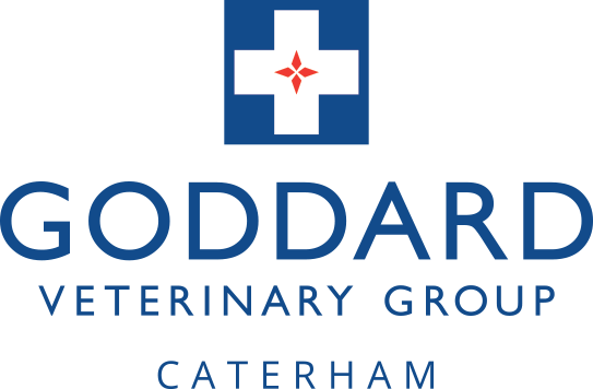 Goddard-Logo-Caterham